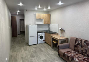 Студия квартира, на длительный срок, 24м2, 5/17 этаж